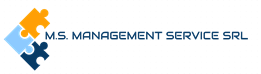Logo MS Management